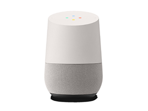 Amazon Echo/Google Home